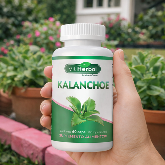 Kalanchoe