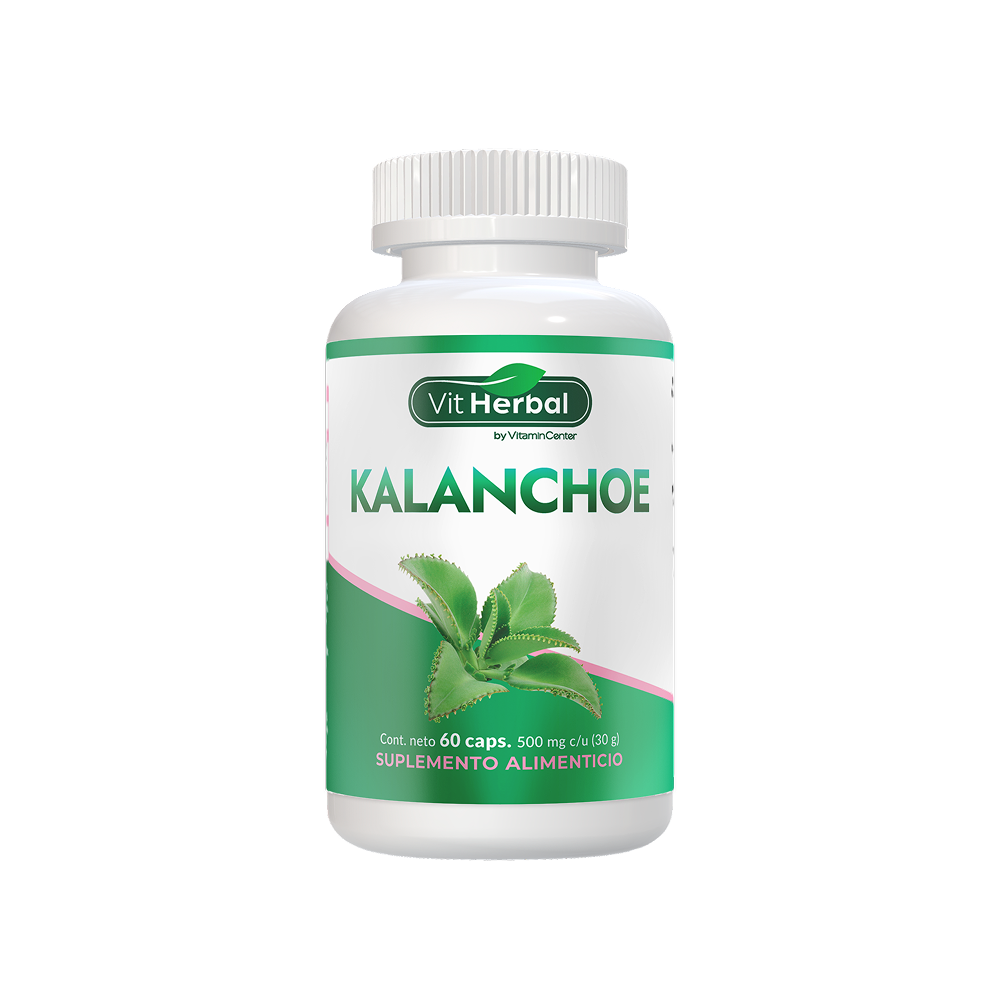 Kalanchoe