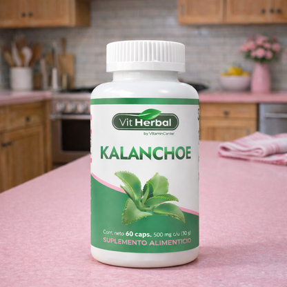 Kalanchoe